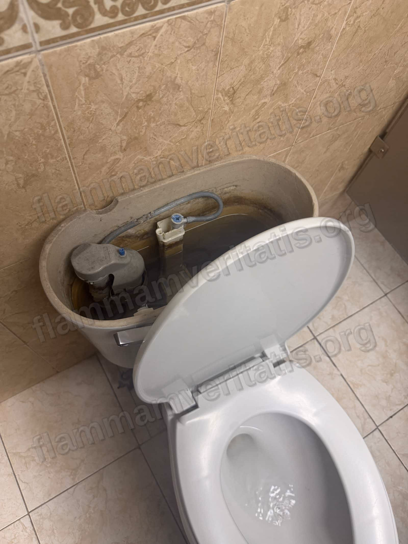 Taza de baño con el tanque destapado; adentro se ven las piezas manchadas y agua con sarro amarillento.