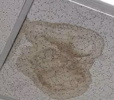 Loseta de plafón acústico del techo del aula 4201, Edificio 4, con una mancha de humedad oscura y ondulada que cubre buena parte de la loseta, junto al riel metálico del panel.