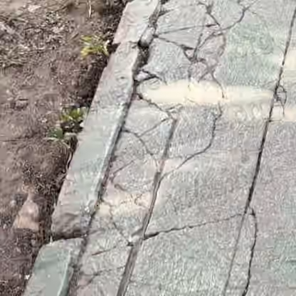 Primer plano de una guarnición de concreto pintada de verde con una red densa de grietas, junto a tierra suelta con vegetación silvestre, en el pasillo frente al Edificio 6.
