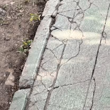 Primer plano de una guarnición de concreto pintada de verde con una red densa de grietas, junto a tierra suelta con vegetación silvestre, en el pasillo frente al Edificio 6.